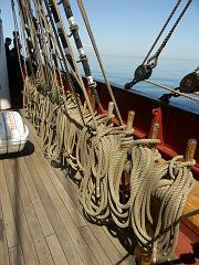 080508_Roald_Amundsen 434